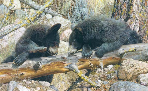 Reproductions of Carl Brenders Paintings Double Dare-Black Bear Reproductions of Carl Brenders Paintings Double Dare-Black Bear